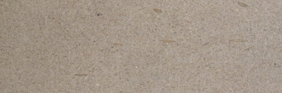 arenaria fossile szczotkowany