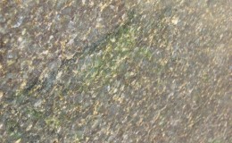 Granit Verde bahia